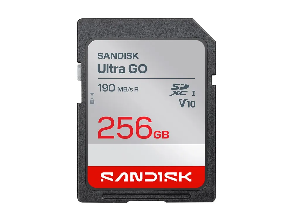SanDisk Ultra GO | sdsdugn-256g-gn6in | Flash-Speicherkarte - 256