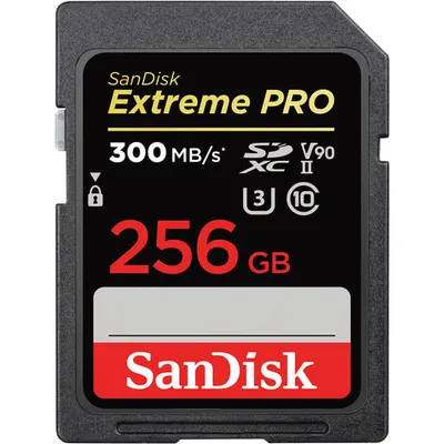 SanDisk Extreme Pro | sdsdxdk-256g-gn4in | Flash-Speicherkarte - 256 GB