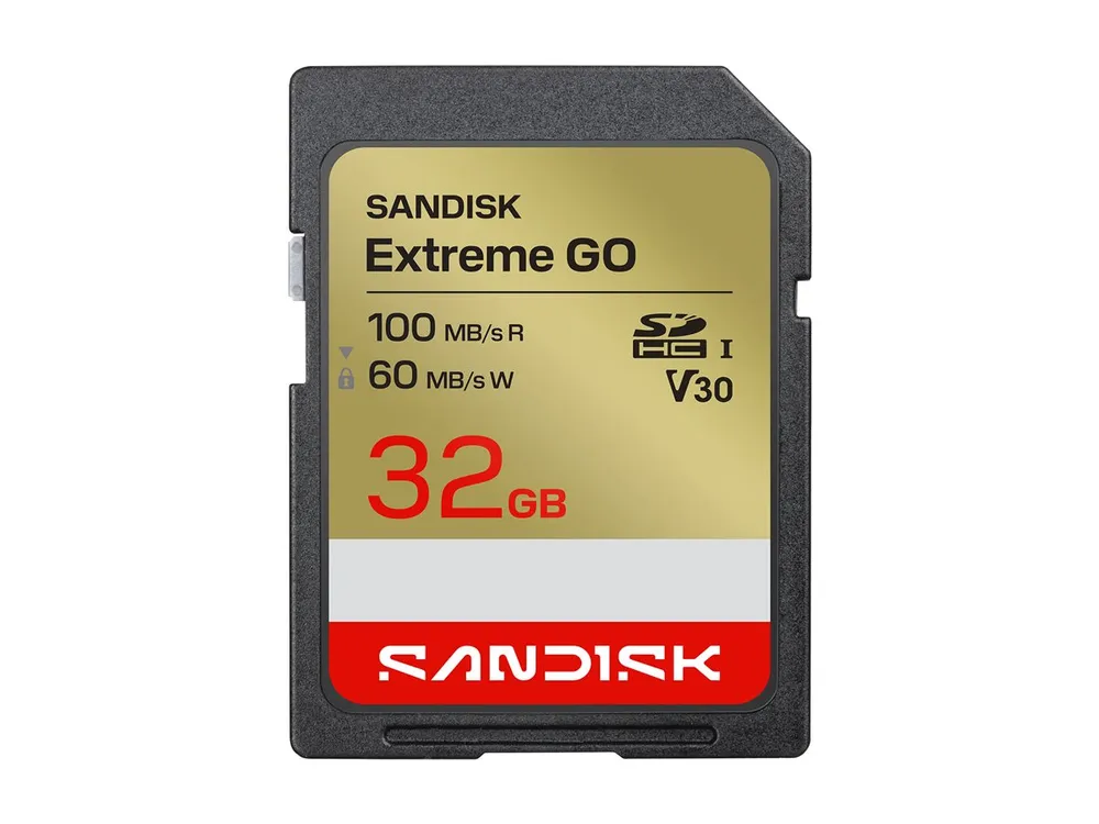 SanDisk Extreme Go | sdsdxgn-032g-gncin | Flash-Speicherkarte - 32