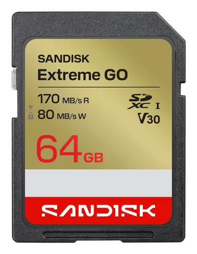 SanDisk Extreme Go | sdsdxgn-064g-gncin | Flash-Speicherkarte - 64