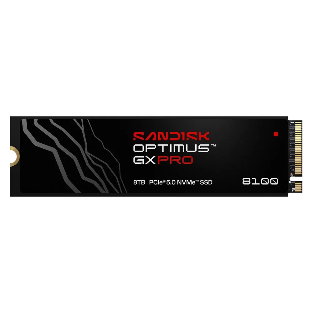 Sandisk Optimus GX PRO 850X (1000 GB, M.2 2280)