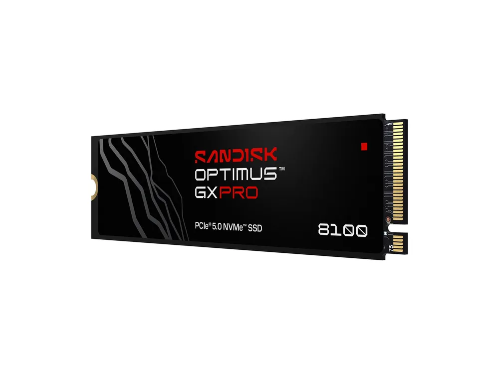 SanDisk Optimus GX PRO 8100 | sdsp82400tan-000e0 | SSD - verschlüsselt