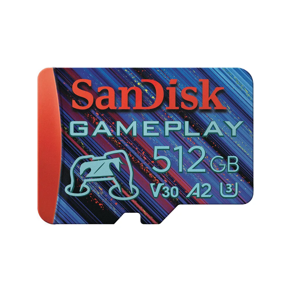 SanDisk GamePlay | sdsqxav-256g-gn6xn | Flash-Speicherkarte - 256