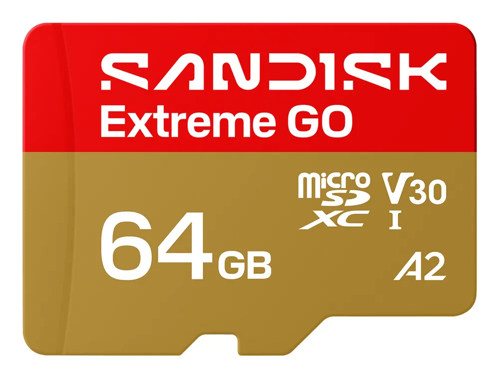 SanDisk Extreme Go | sdsqxgn-064g-gn6mn | Flash-Speicherkarte - 64
