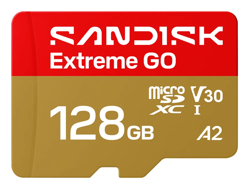 SanDisk Extreme Go | sdsqxgn-128g-gn6mn | Flash-Speicherkarte - 128