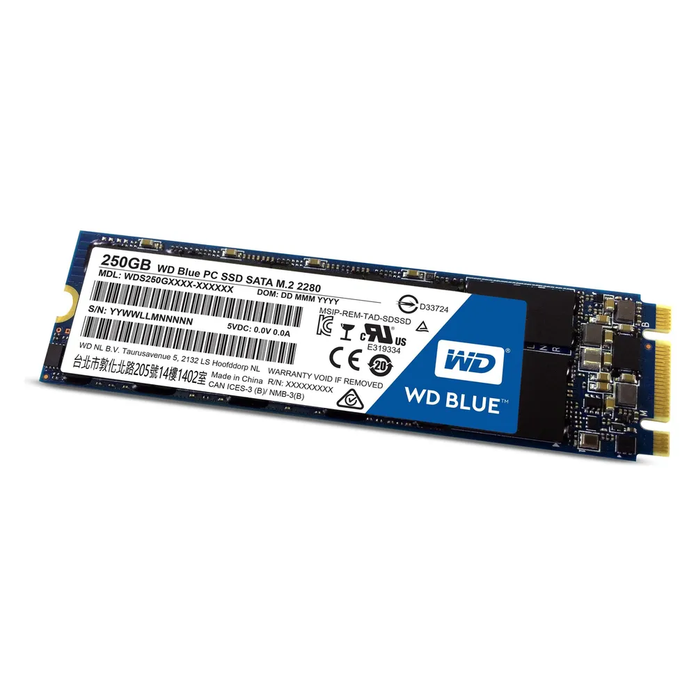 Western Digital Blue PC 250 GB M.2
