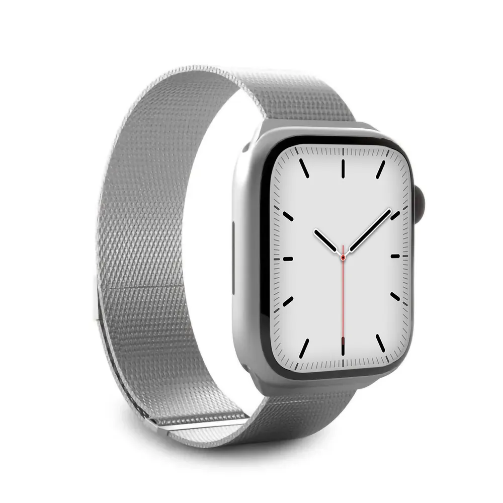 Uhrenarmband für Apple Watch 42/44/45 mm mit Magnetverschluss, Silber (CMAWATCHB44MS)