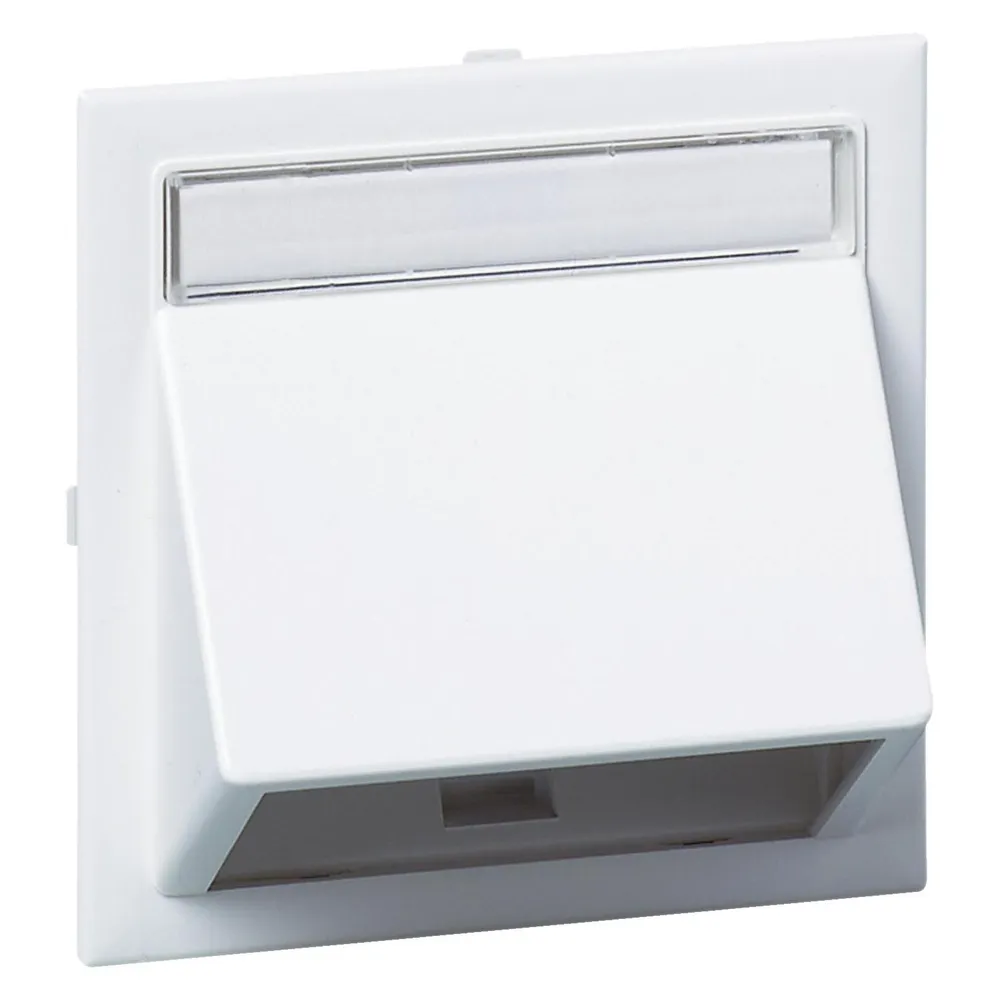 Schneider Angled data cap for Wall