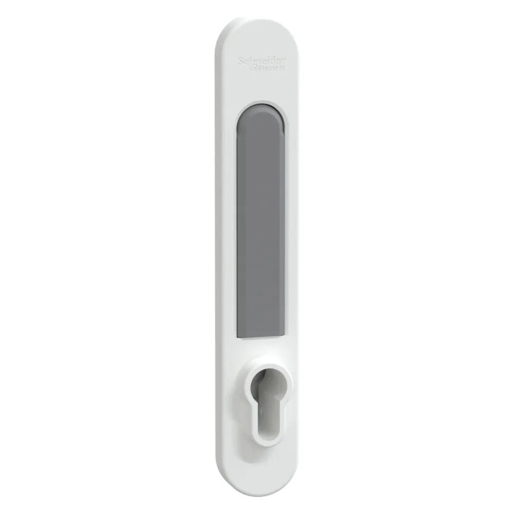Schneider PrismaSeT-P