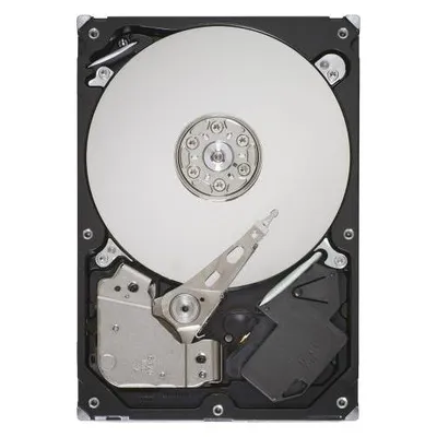 Seagate DB35.4 Series ST3250310CS