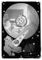 Seagate DB35.3 Series ST3250820SCE | st3250820sce | Festplatte - 250 GB
