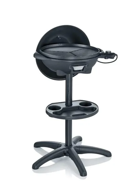 PG 8541 Standgrill