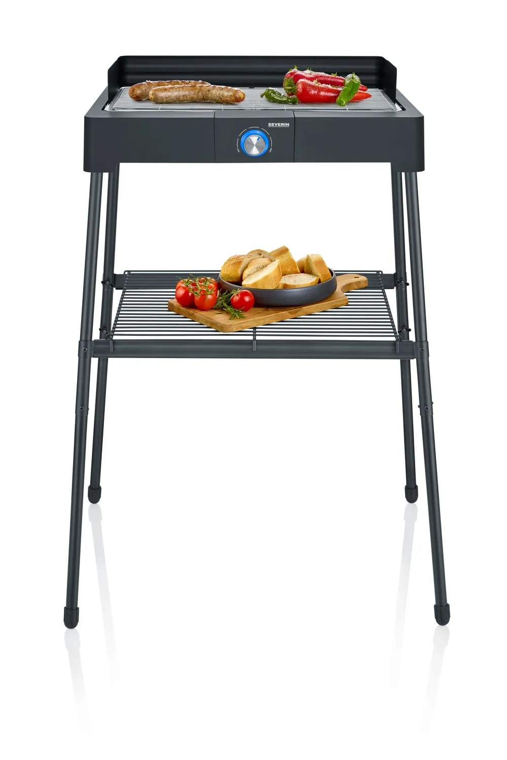 PG 8566 Standgrill