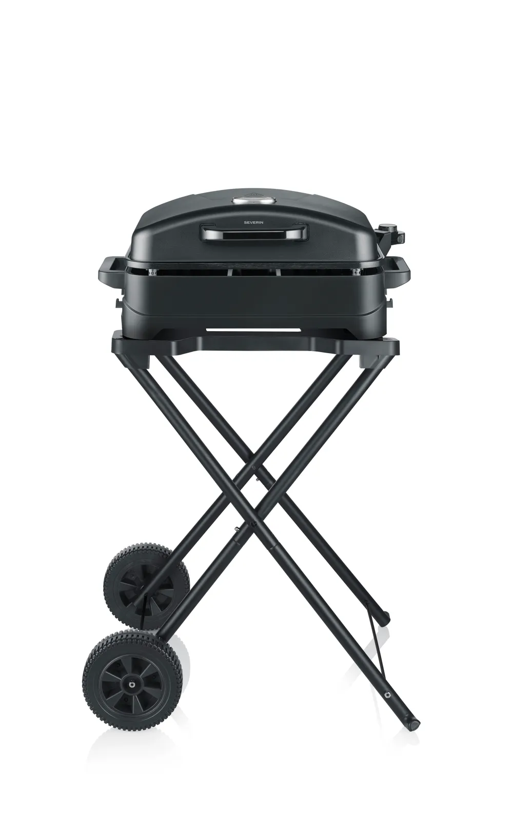 PG 8598 Standgrill