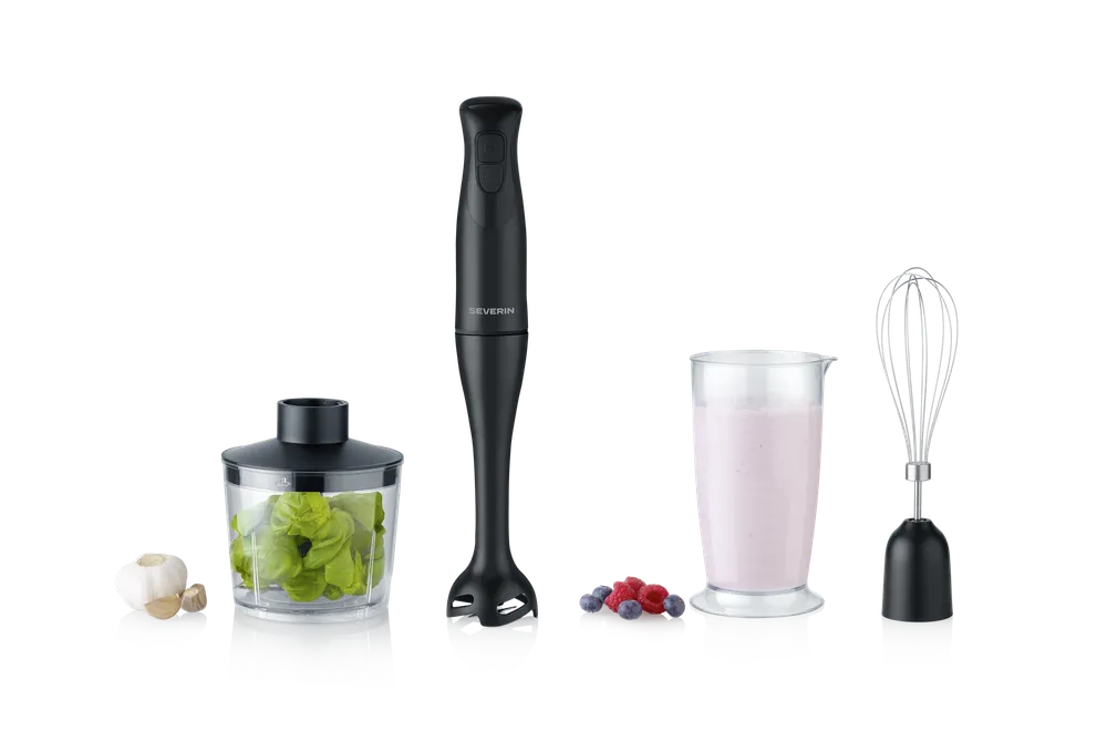 SM 3762 Stabmixer-Set