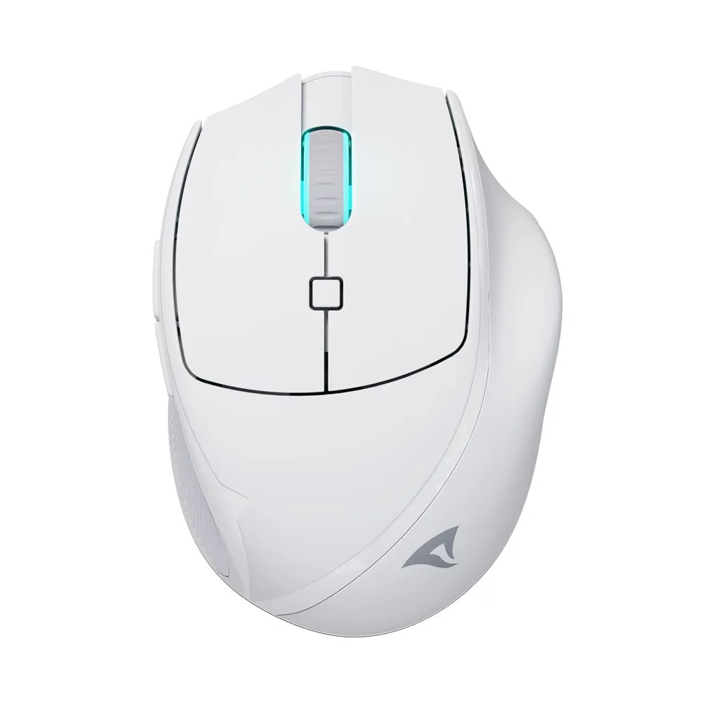 Sharkoon OfficePal M25W | 4044951039654 | Maus - optisch