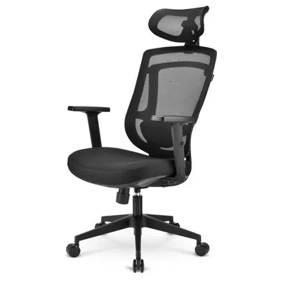 Bürostuhl Sharkoon OfficePal C10 Gepolsterter Sitz Mesh-Rückenlehne