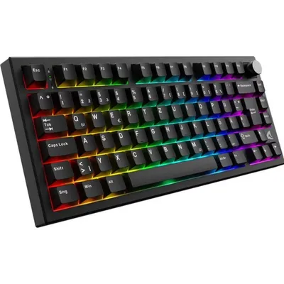 Tastatur Sharkoon SKILLER SGK55W 75% mechanisch Gaming RGB Dual Mode