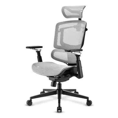 Bürostuhl Sharkoon OfficePal C50M Schwarz Ergonomisch 5D Armlehnen Mesh