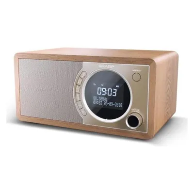 Sharp Radio digitale DR-450 (DR-450BR)