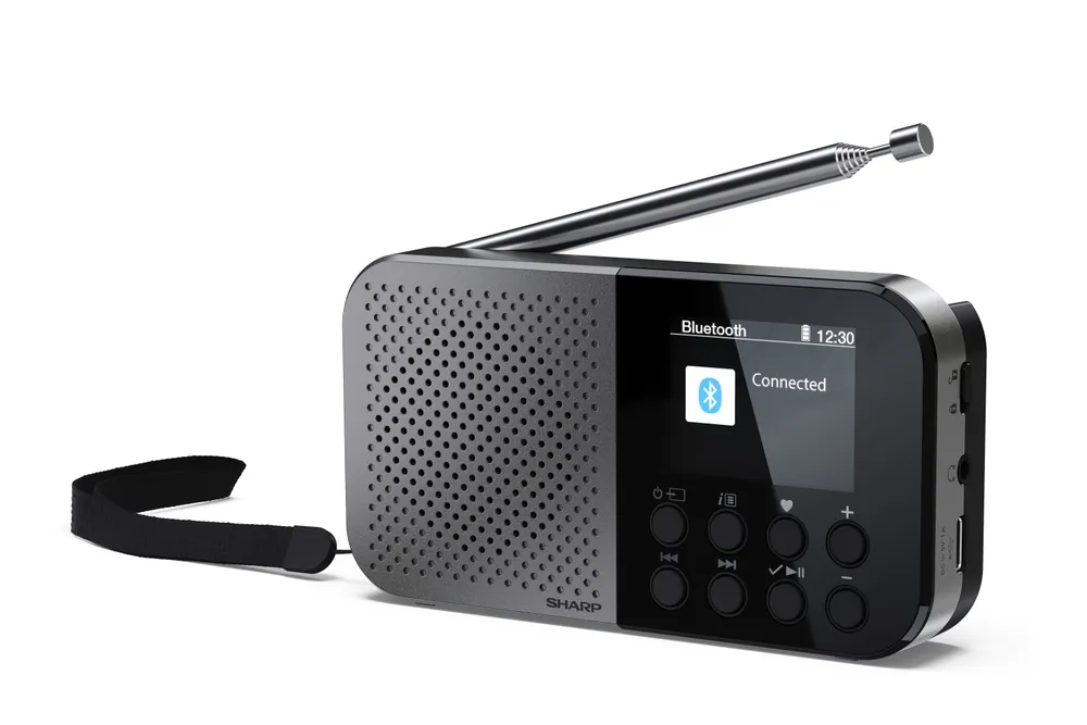 Personalradio Sharp DR-P520 DAB+ FM Bluetooth 5.3 USB-C Grau