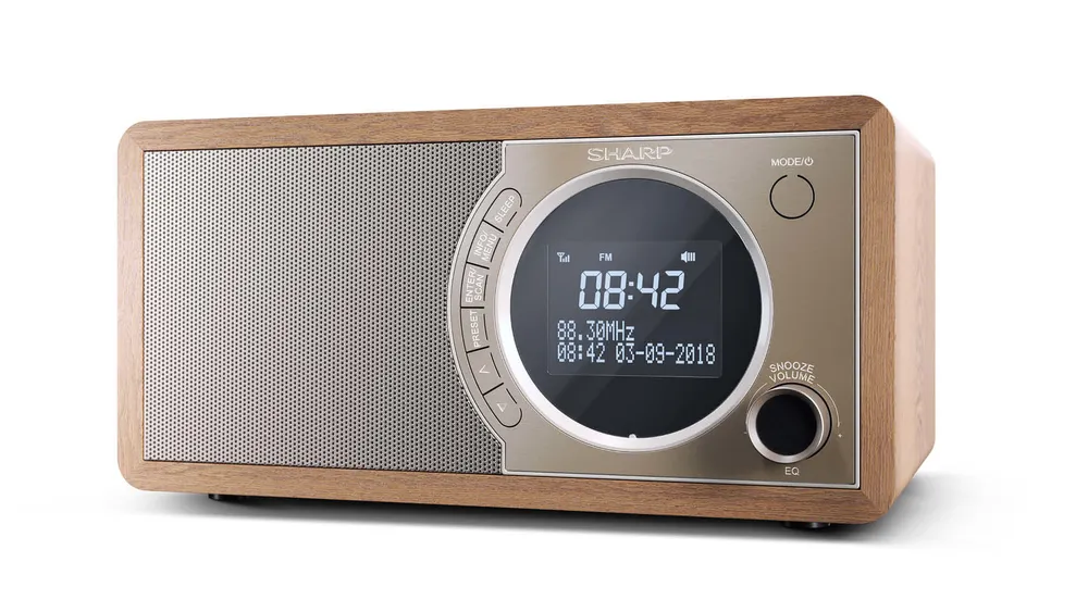 Sharp DR-450 Digitalradio (DAB) (Digitalradio (DAB), Automatische Senderverfolgung, FM-Tuner mit RDS, 6 W)