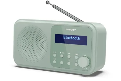 Sharp TOKYO DR-P420 Digitalradio (DAB) (Digitalradio (DAB), FM-Tuner mit RDS, 2 W)