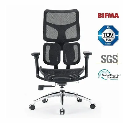 Bürostuhl Ergonomisch Sihoo Doro S100 - Dynamische Doppel-Lendenwirbelstütze