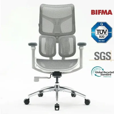 Bürostuhl Sihoo Doro S100 Ergonomisch - Doppelter Dynamischer Lendenwirbelstütze