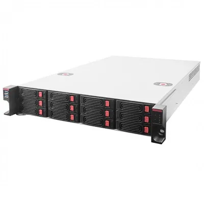 SilverStone SST-RM22-312 2U 12 Bay 2,5"/3,5" Rackmount-Speichergehäuse