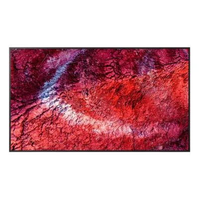 Monitor Sony BZ40P 65" UltraHD 4K 100Hz IPS HDR10 WiFi Digital Signage