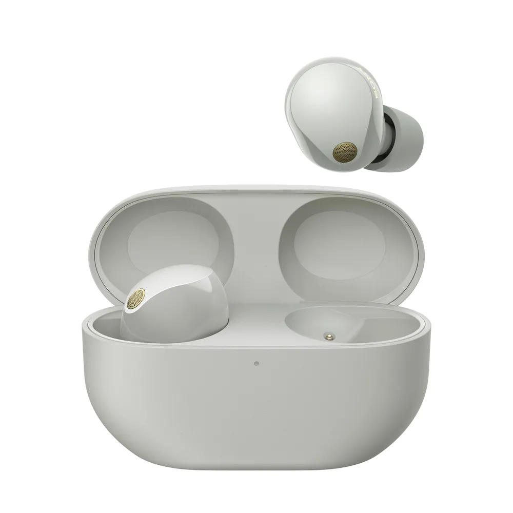 In-Ear Kopfhörer WF-1000X M5 silber