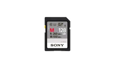Sony SF-M Series SF-M128 | sfg1m | Flash-Speicherkarte