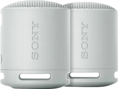 Sony SRS-XB100 Doppelpack Grau
