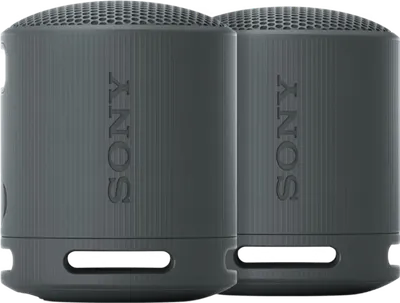 Sony SRS-XB100 Doppelpack Schwarz