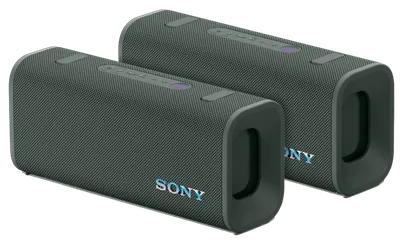 Sony ULT Field 3 Grau Doppelpack