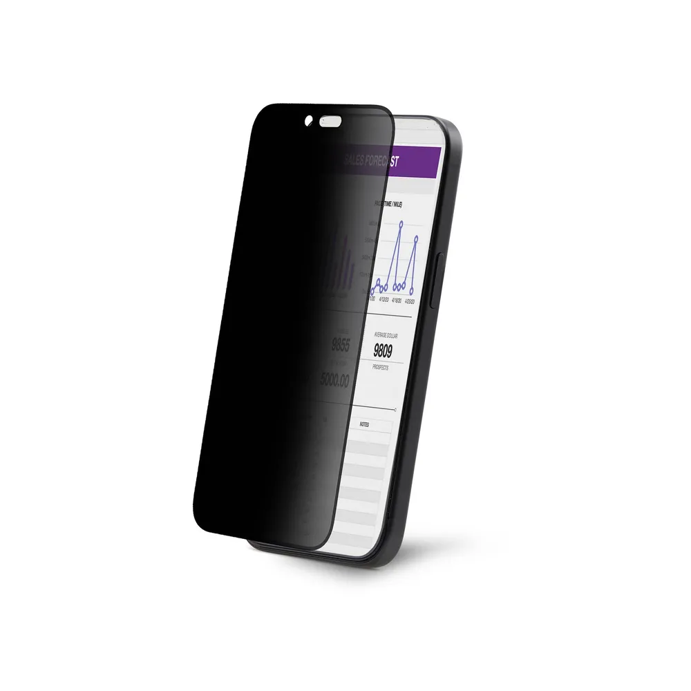 Sichtschutzfilter StarTech.com iPhone 16 Pro 4-Wege gehärtetes Glas