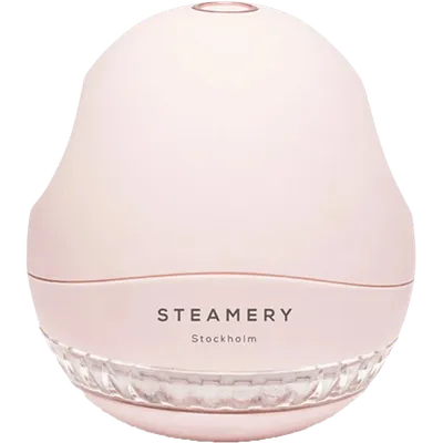 Steamery Pilo Lint Shaver Fusselrasierer Mattrosa