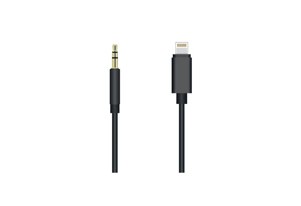 Sunix Lightning zu Aux Audio 3,5mm Klinkenstecker Anschluss Audio-Adapter
