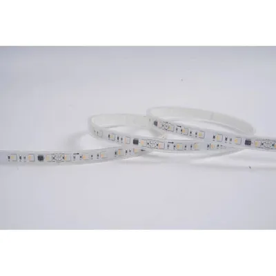 Tira LED RGBW Synergy 21 5m IP65 Flexibilität Outdoor