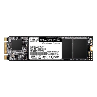 Festplatte Team Group MS30 1TB M.2 SATA III 530MB/s SLC Cache