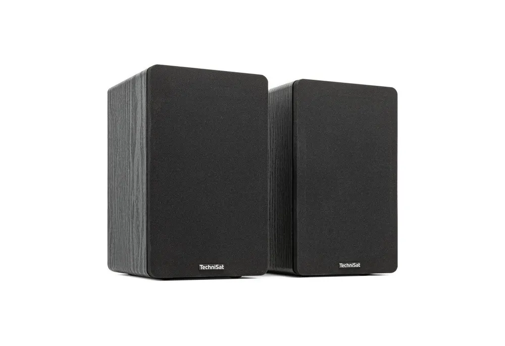 TechniSat AUDIOMASTER RLS 1 Regal-Lautsprecher 2.0