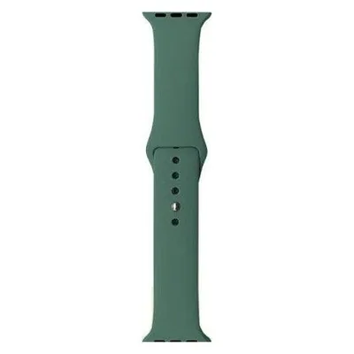 Techonic APPLE WATCH ARMBAND 38/40MM GRÜN