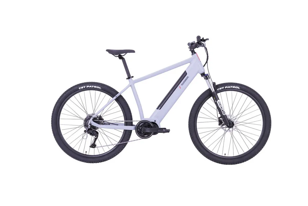 Telefunken E-Bike Mountainbike Aufsteiger MT925