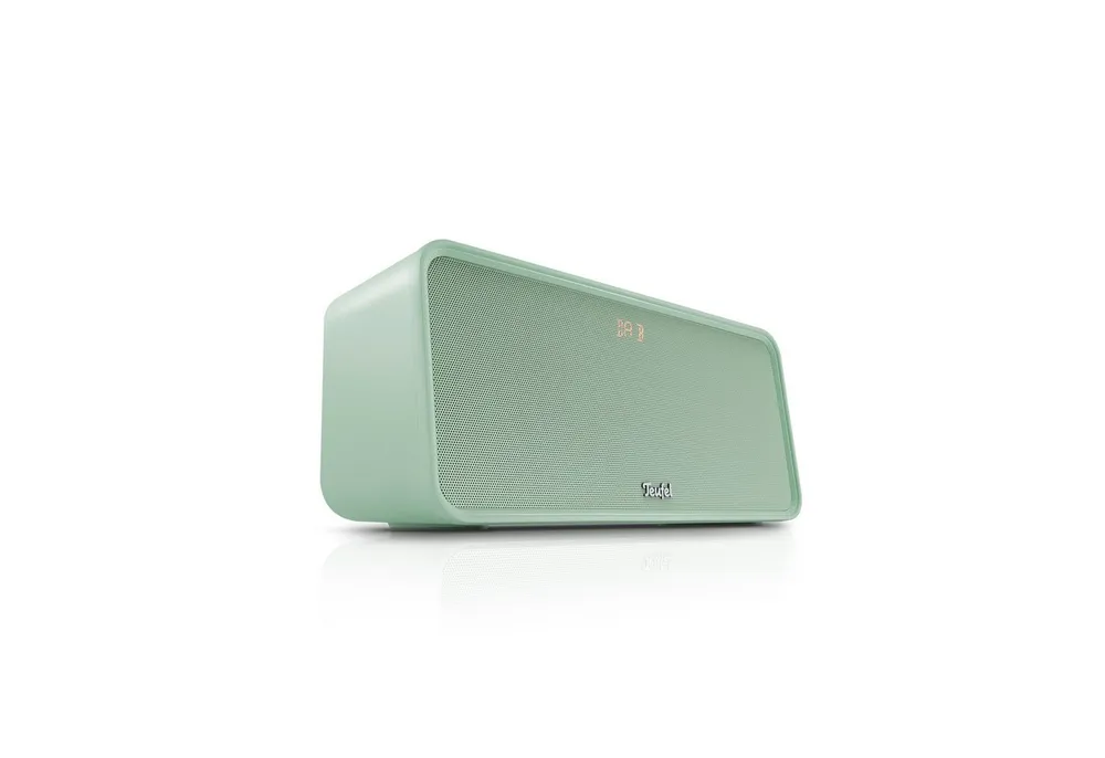 Teufel BOOMSTER 4 Wireless Lautsprecher (Bluetooth, 42 W, IPX5-Norm, DAB+, FM-UKW)