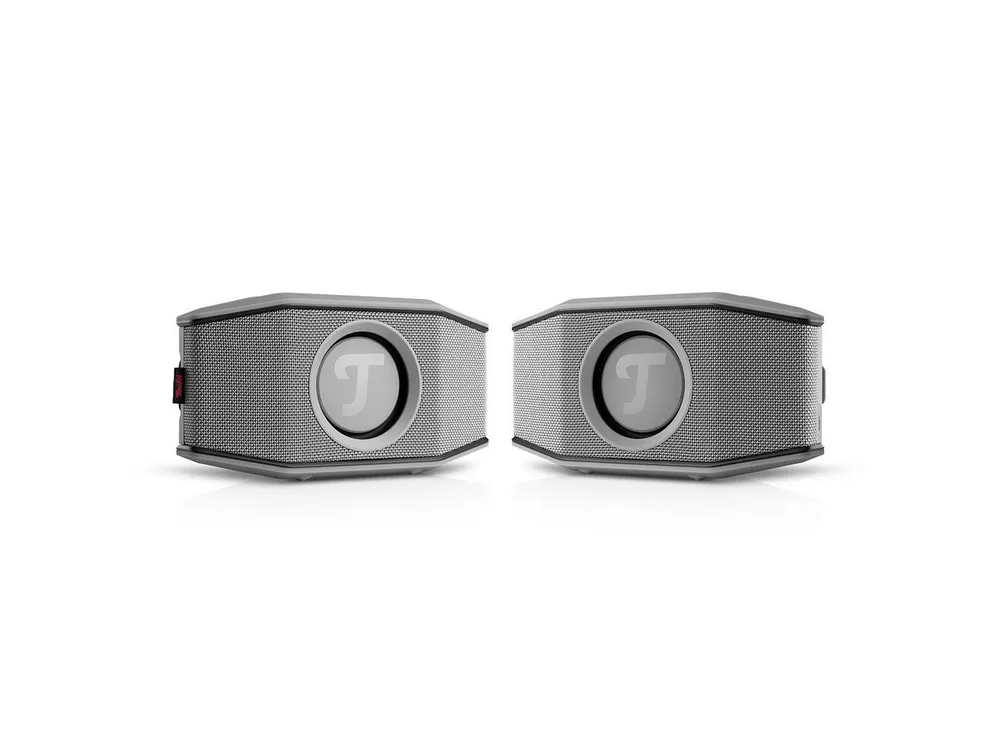Teufel ROCKSTER GO 2 Stereo-Set Wireless Lautsprecher (Bluetooth, 8 W, Schutz (IP67) gegen Staub & Wasser)