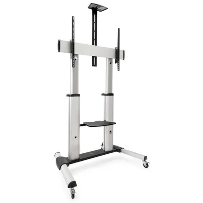 TooQ Parthenon FS20300M-B TV-Bodenständer 60"-100" VESA 1000x600 Max 100Kg