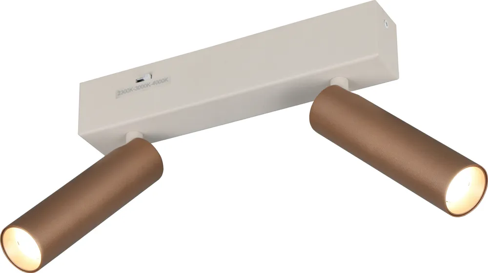 TRIO LED-Spotleuchte AMBALA, 849210265, 2-fach, 2x 5,5 W, 2x 500 ml, coffee