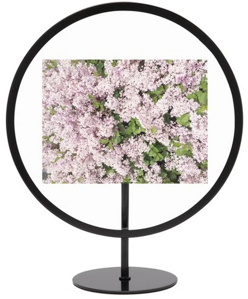 Umbra Infinity Photo Display 13x18cm Black