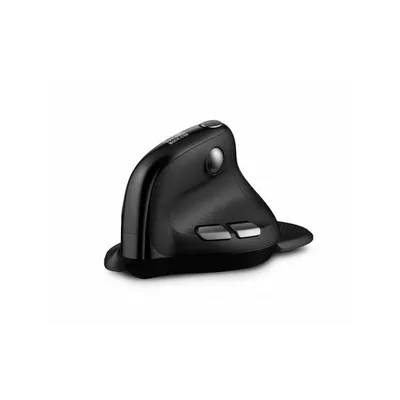 Maus Urban Factory ERGO Max RF Wireless Bluetooth 4000 DPI Schwarz Vertikal